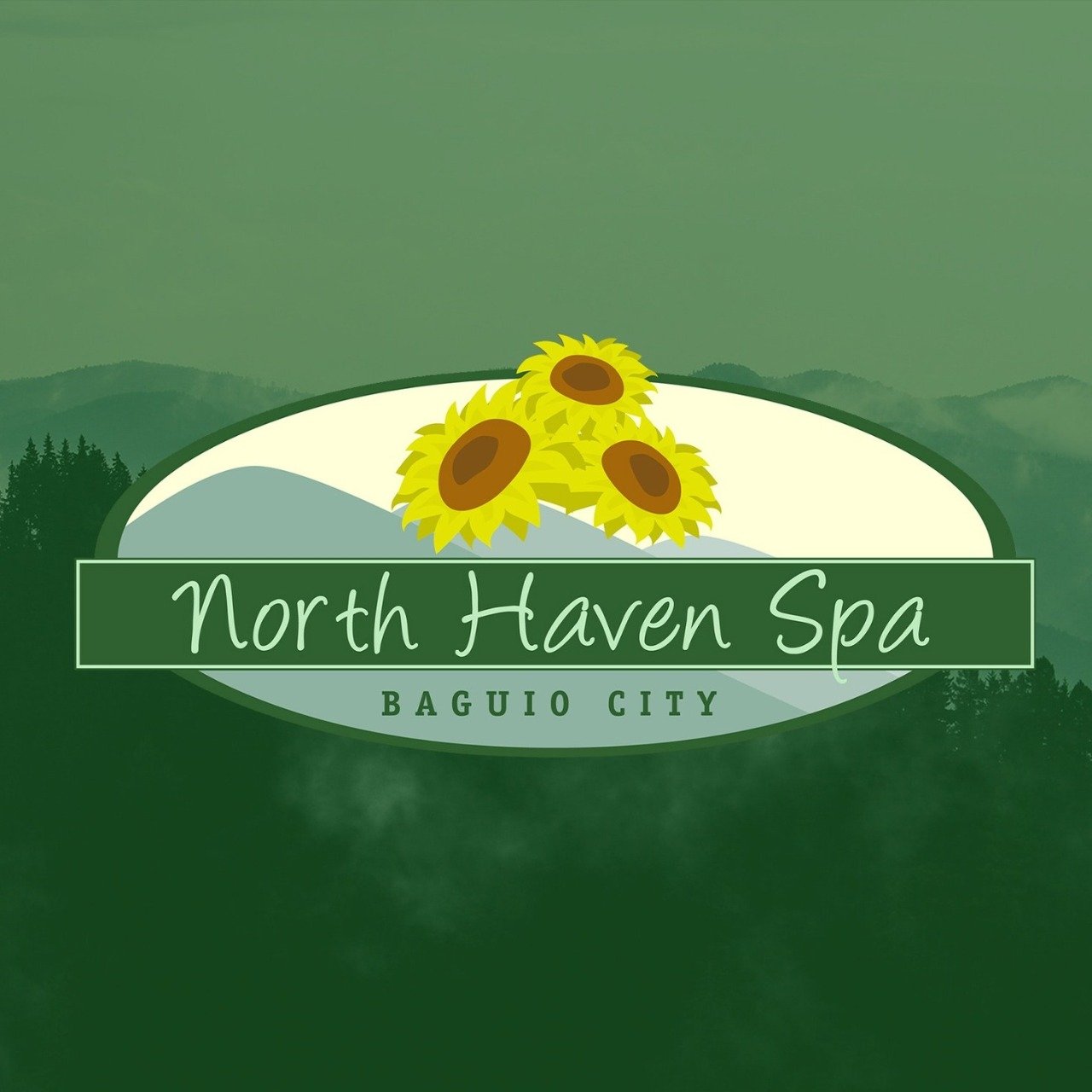 northhavenspa