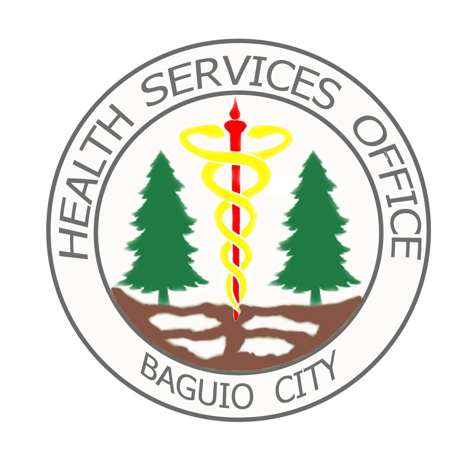 Baguio City Health Services Office