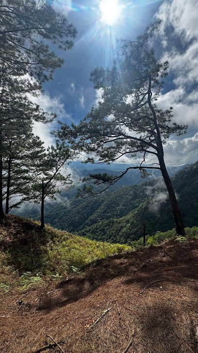 Camp Utopia Viewpoint