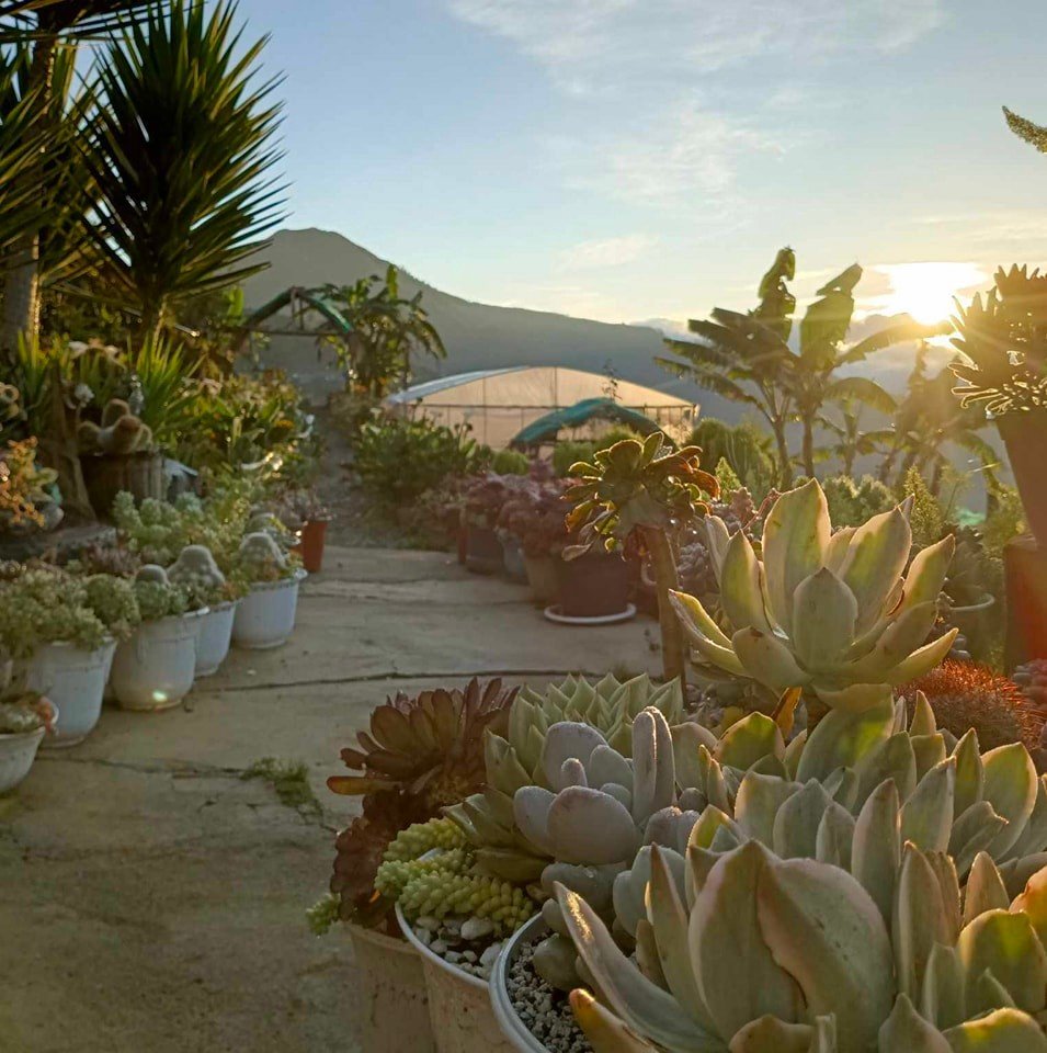 Isaac Transient & Ambiance Garden