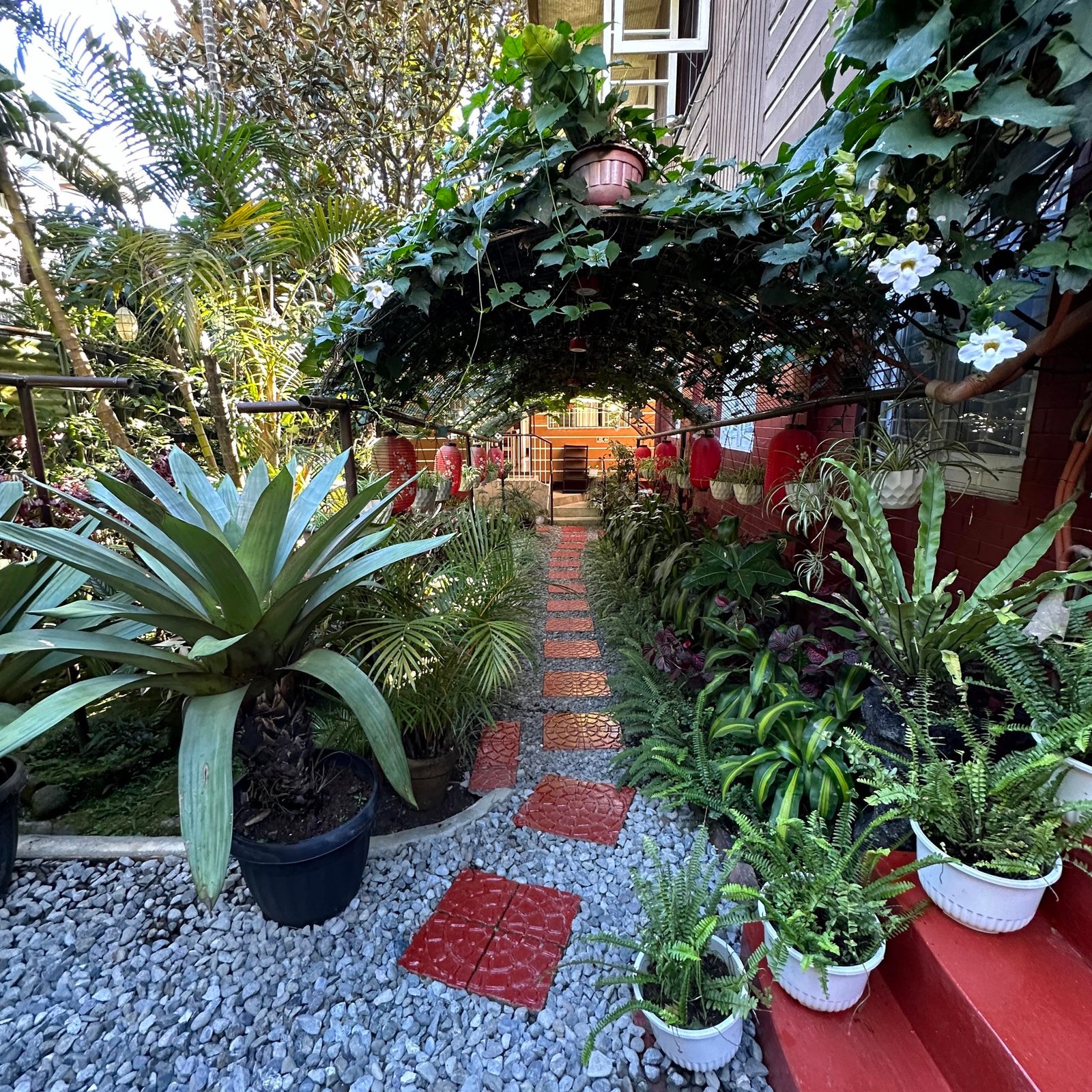 Lapid Transient House in Baguio City