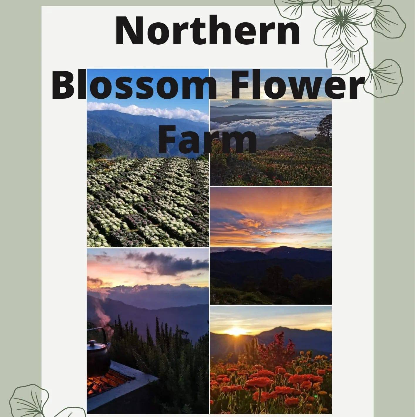 Northern Blossom Flower Farm