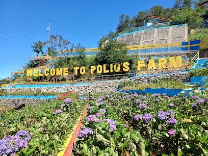POLIG'S FARM